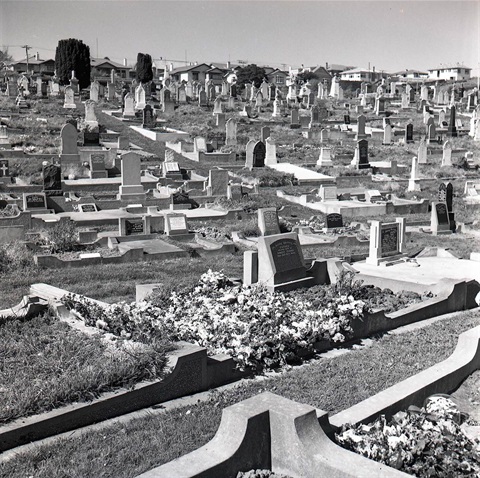 P0001.592-3.jpg