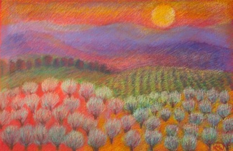 Olive Groves at dusk, Central Portugal,  Summer 2022,  Katy Waite