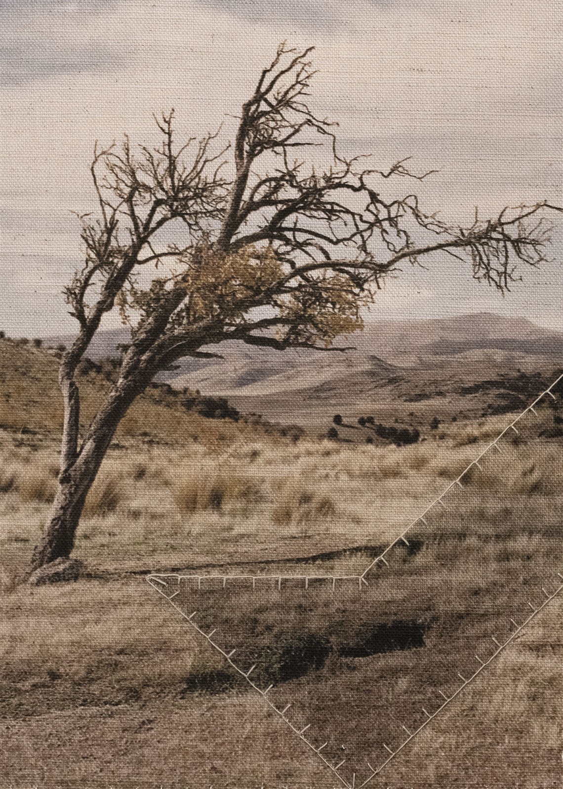 Image Cornishmen roam all the earth (Aotearoa) (detail), 2024, Caroline McQuarrie. Courtesy of the artist and Jhana Millers Gallery. Photo Caroline McQuarrie