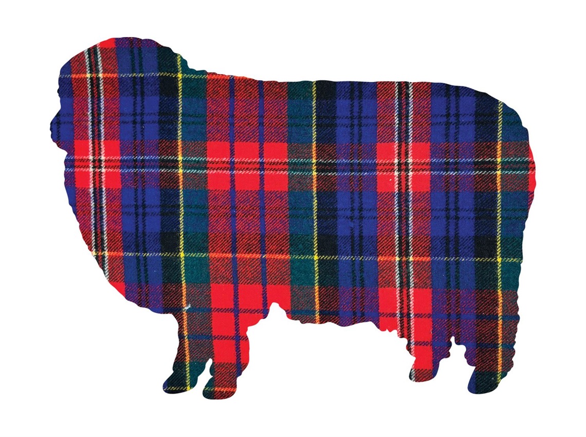 Image_Warm_Fuzzies_Tartan_Sheep.jpg