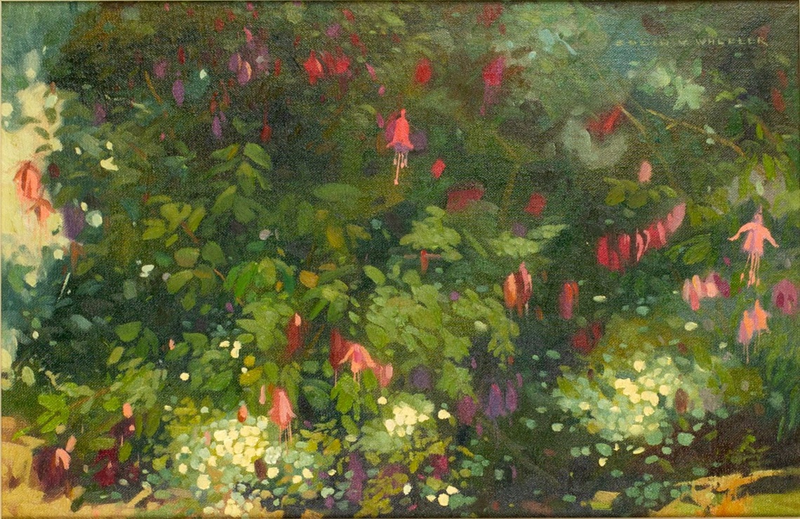 Image: Fuchsias, date unknown, Colin Wheeler. Collection of the Forrester Gallery
