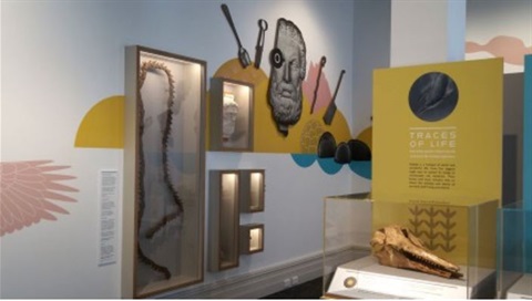 Tō Tātau Whenua, Our Land display